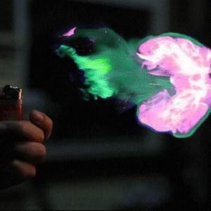 Meet your Posher, Brennan